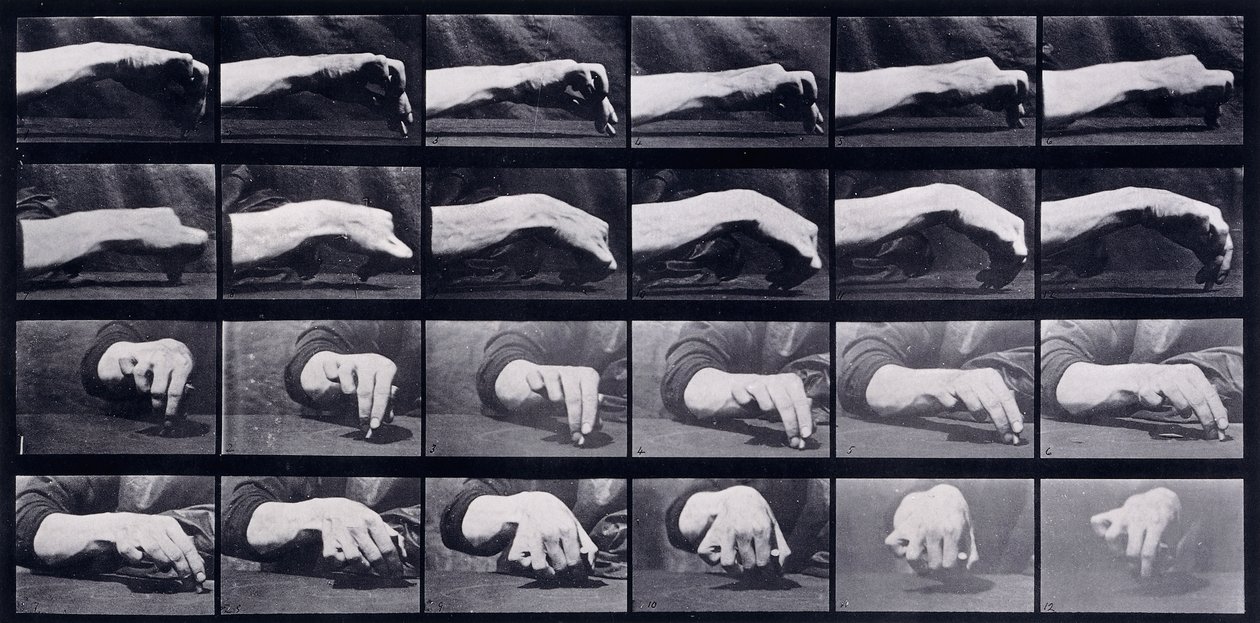 Pohybová studie ruky, c.1872-1885 od Eadweard Muybridge