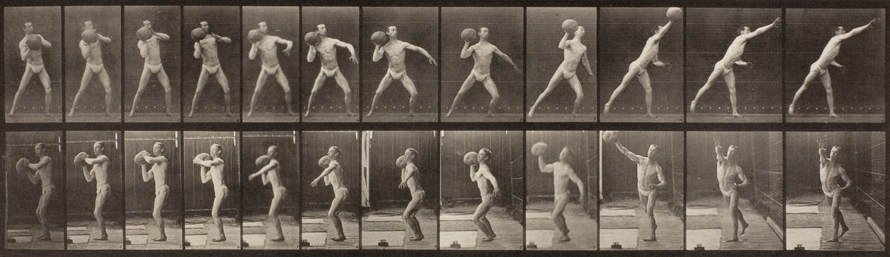 Animal Locomotion, Talíř 319, 1887 od Eadweard Muybridge