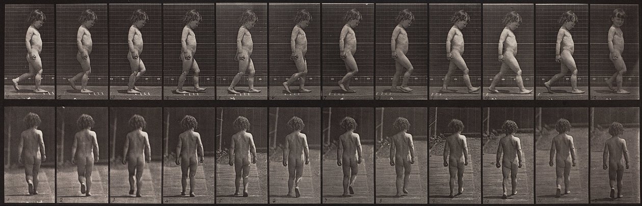 Animal Locomotion, talíř 467 od Eadweard Muybridge