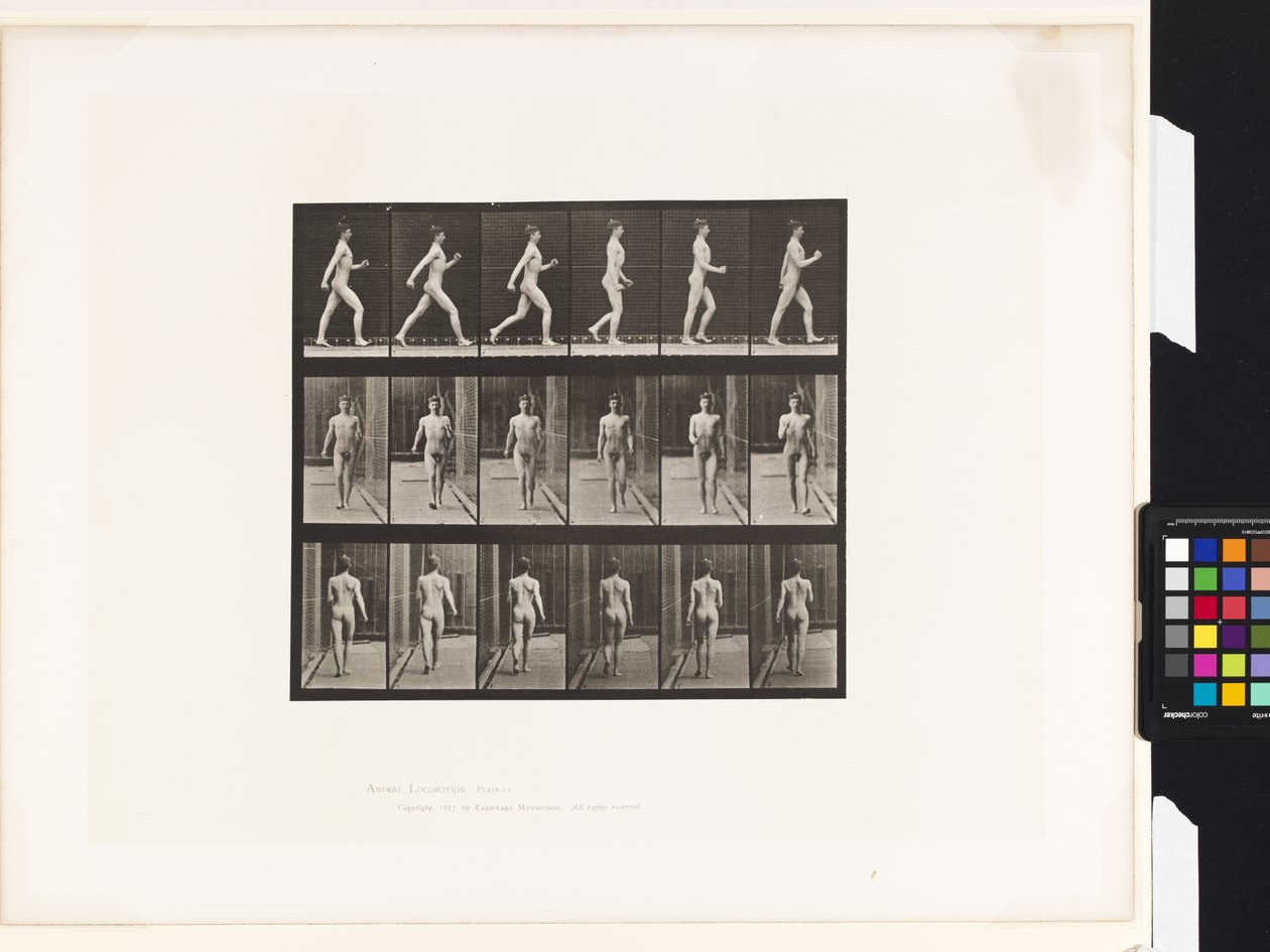 Talíř 10.Chůze od Eadweard Muybridge