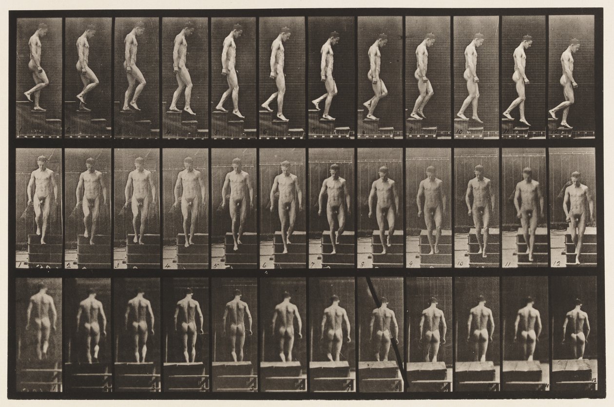 Talíř 125. Sestupné schody od Eadweard Muybridge