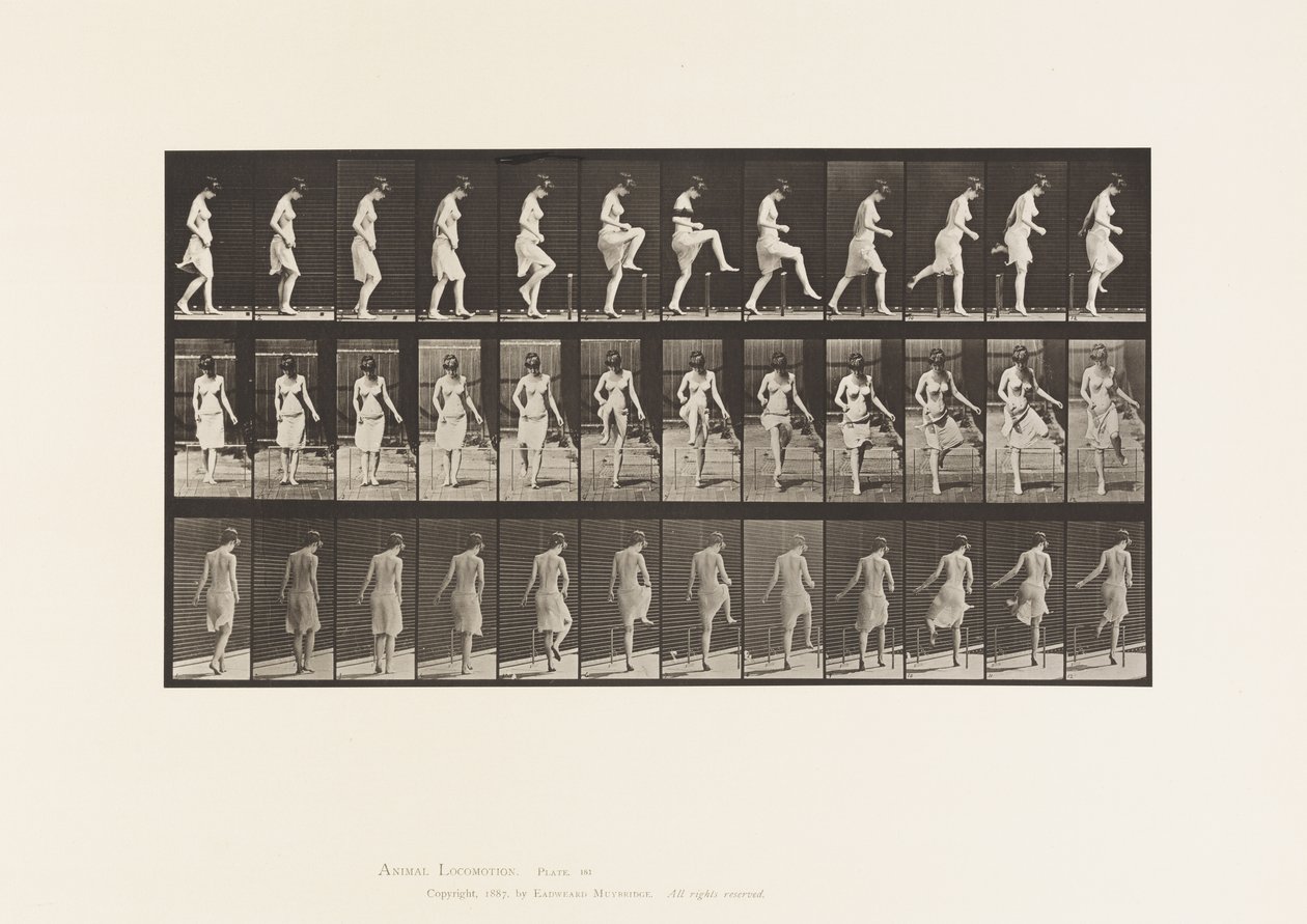 Talíř 181. Překročení plotu od Eadweard Muybridge