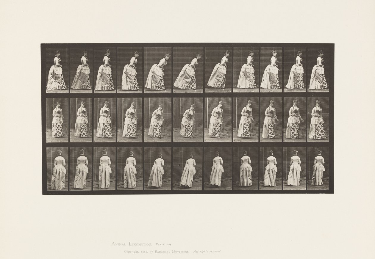 Talíř 198. Námluva, 1885 od Eadweard Muybridge