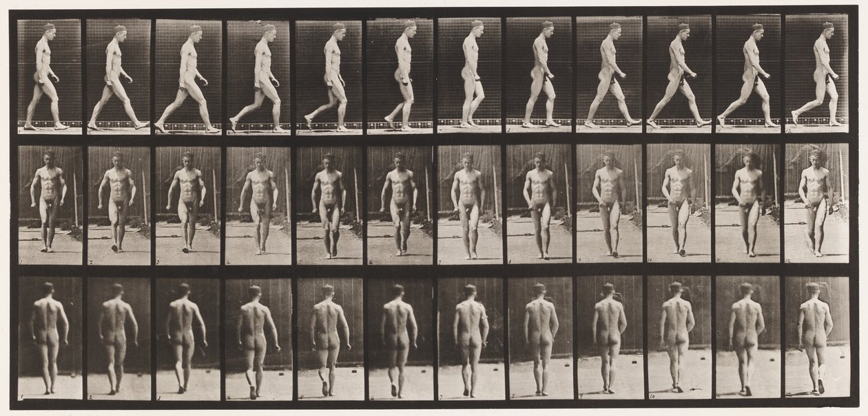 Talíř 1. Chůze od Eadweard Muybridge