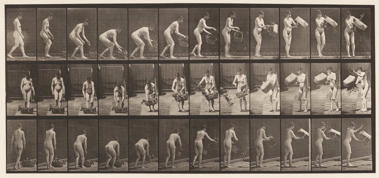 Talíř 213. Zvedací a vyprazdňovací koš od Eadweard Muybridge