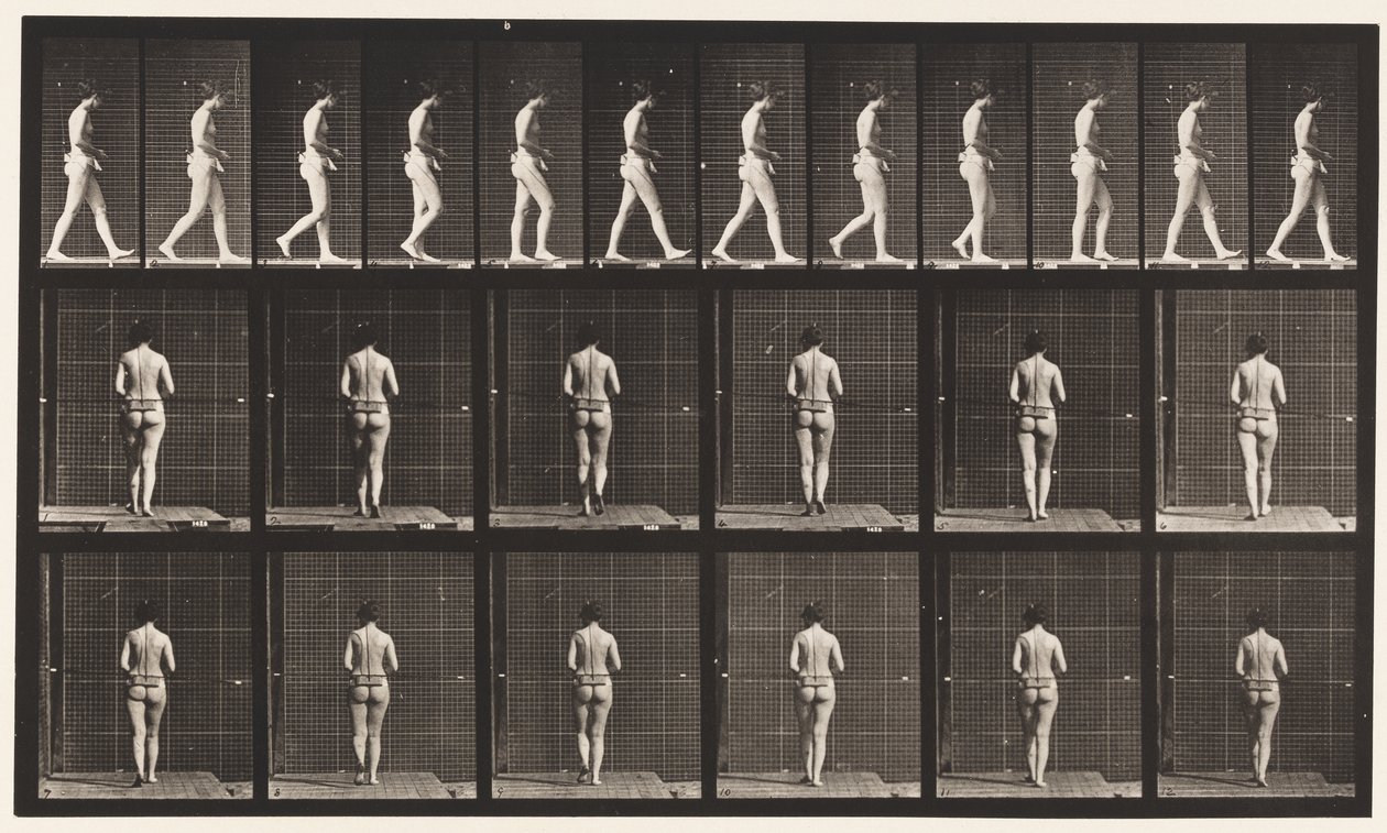 Talíř 21. Chůze, oba lokty ohnuté od Eadweard Muybridge