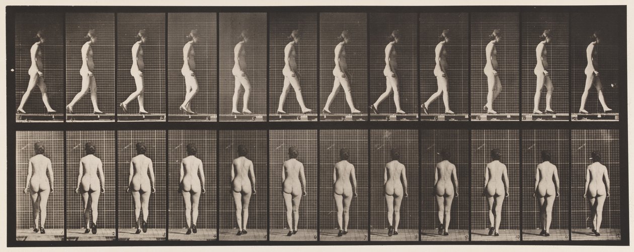 Talíř 25. Chůze, S Botami Na Vysokém Podpatku od Eadweard Muybridge