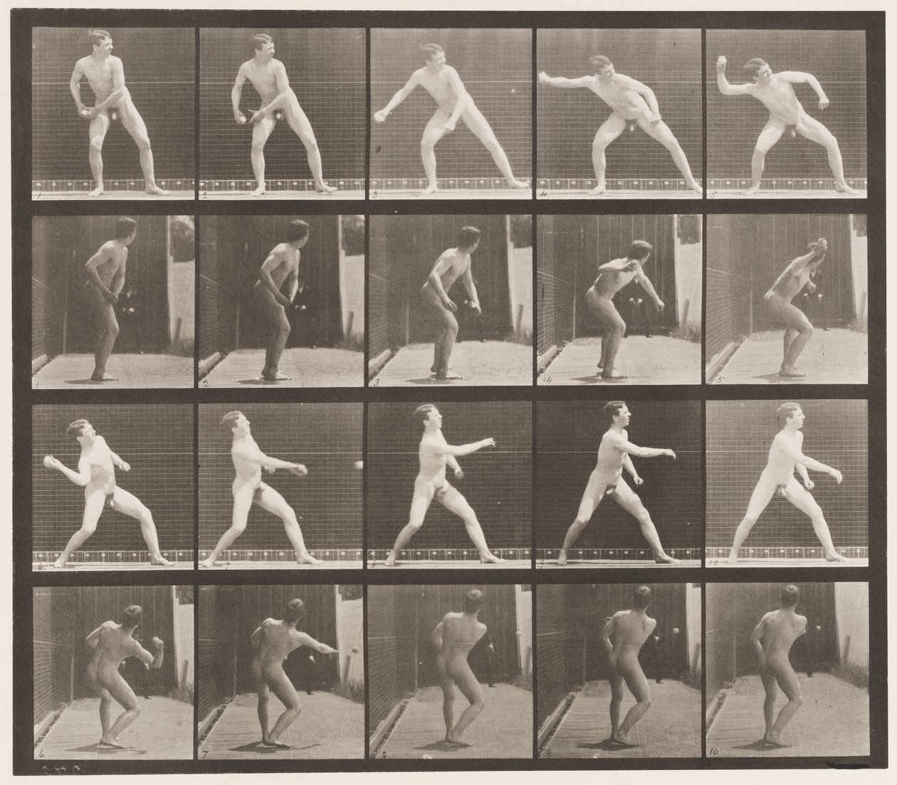 Talíř 273. Base-ball; Pitching od Eadweard Muybridge