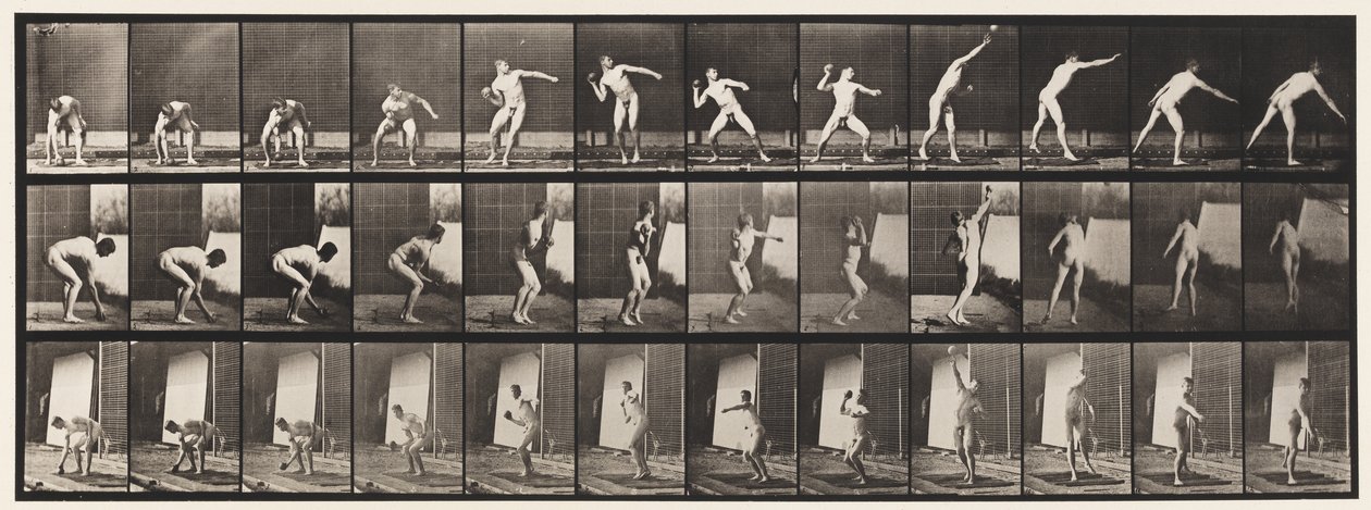 Talíř 310. Putting the Shot, 1885 od Eadweard Muybridge