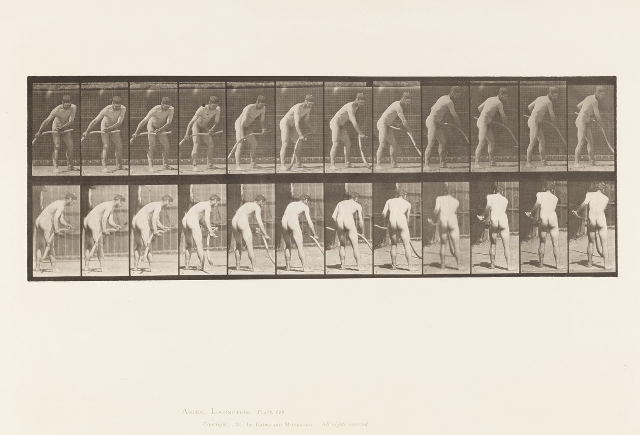 Talíř 390. Sedlák, Sečení trávy od Eadweard Muybridge