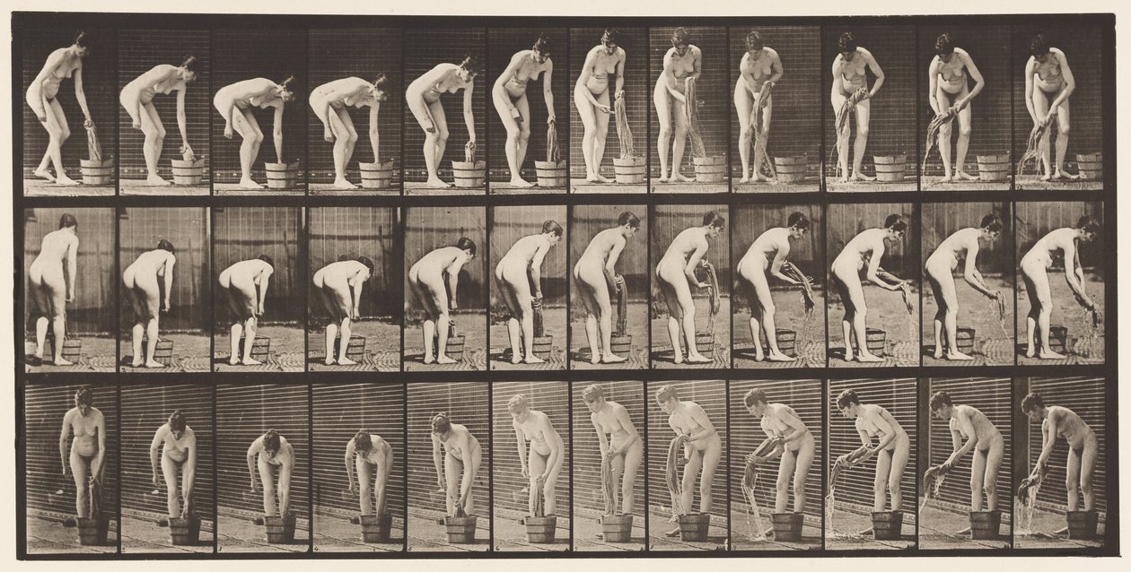 Talíř 433. Ždímací prádlo od Eadweard Muybridge