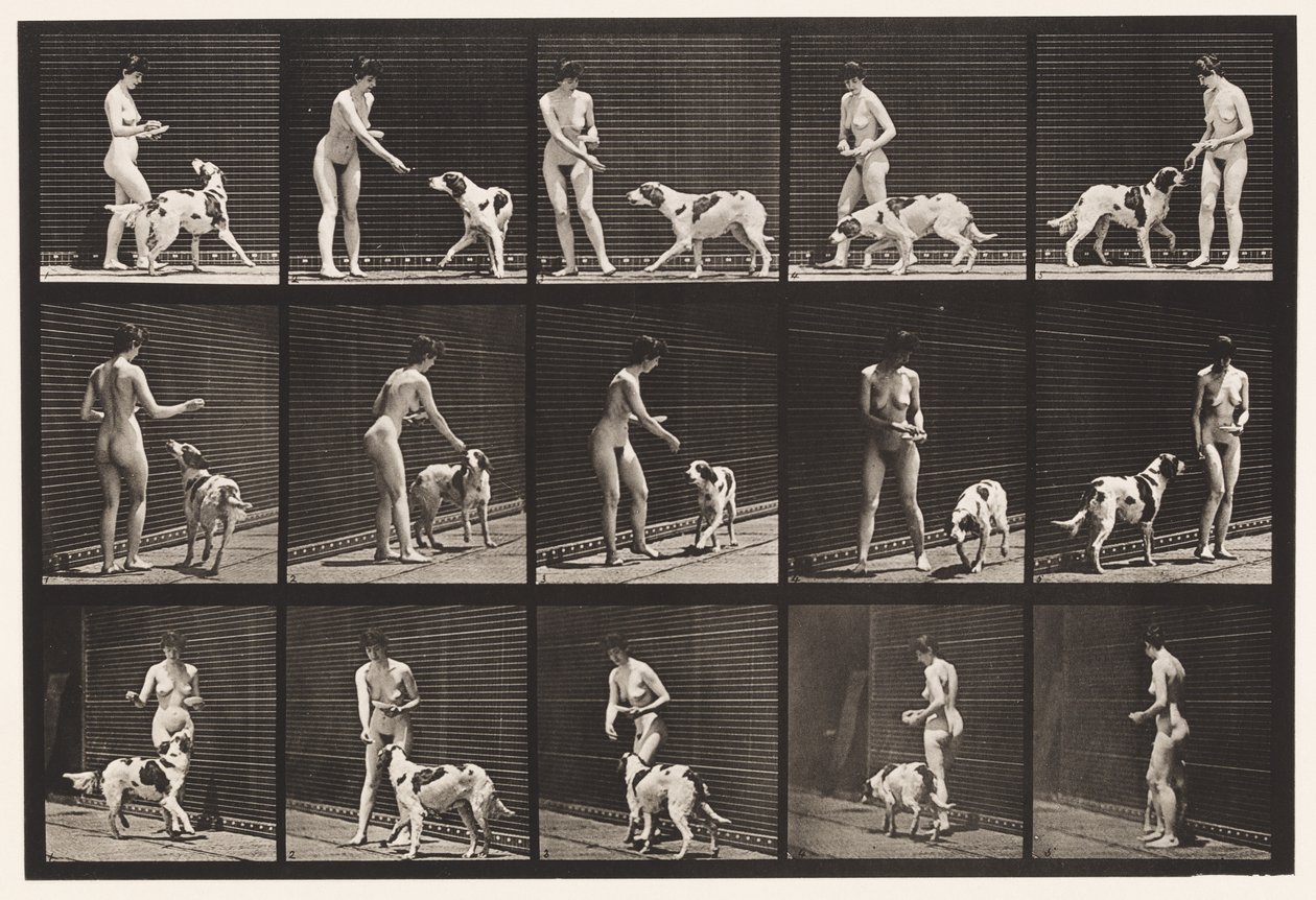 Talíř 514. Krmení psa od Eadweard Muybridge