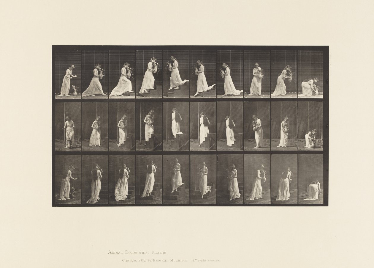 Talíř 515. Vzestupné a sestupné schody atd., 1885 od Eadweard Muybridge
