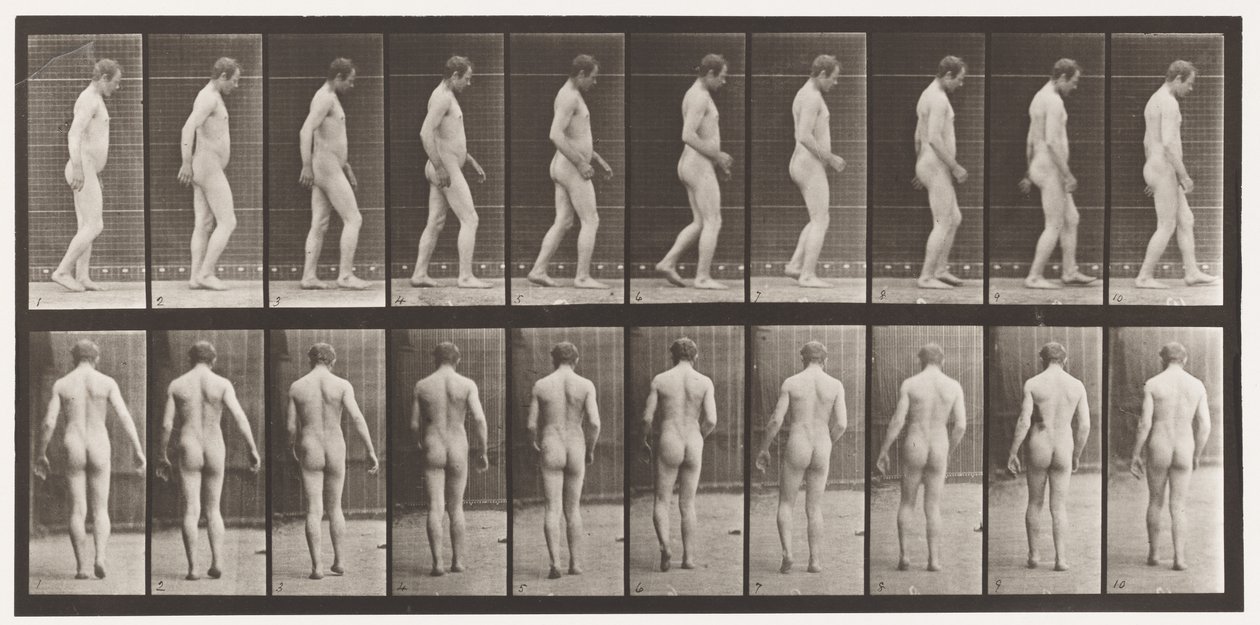 Talíř 553.Po traumatu hlavy; Chůze, 1885 od Eadweard Muybridge