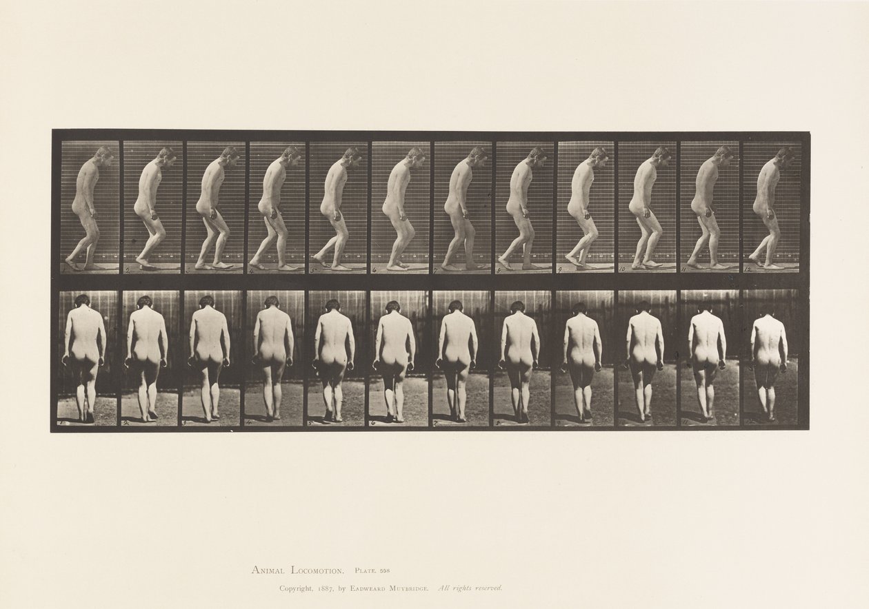 Talíř 558.Paraplegie; Částečný; Chůze, 1885 od Eadweard Muybridge