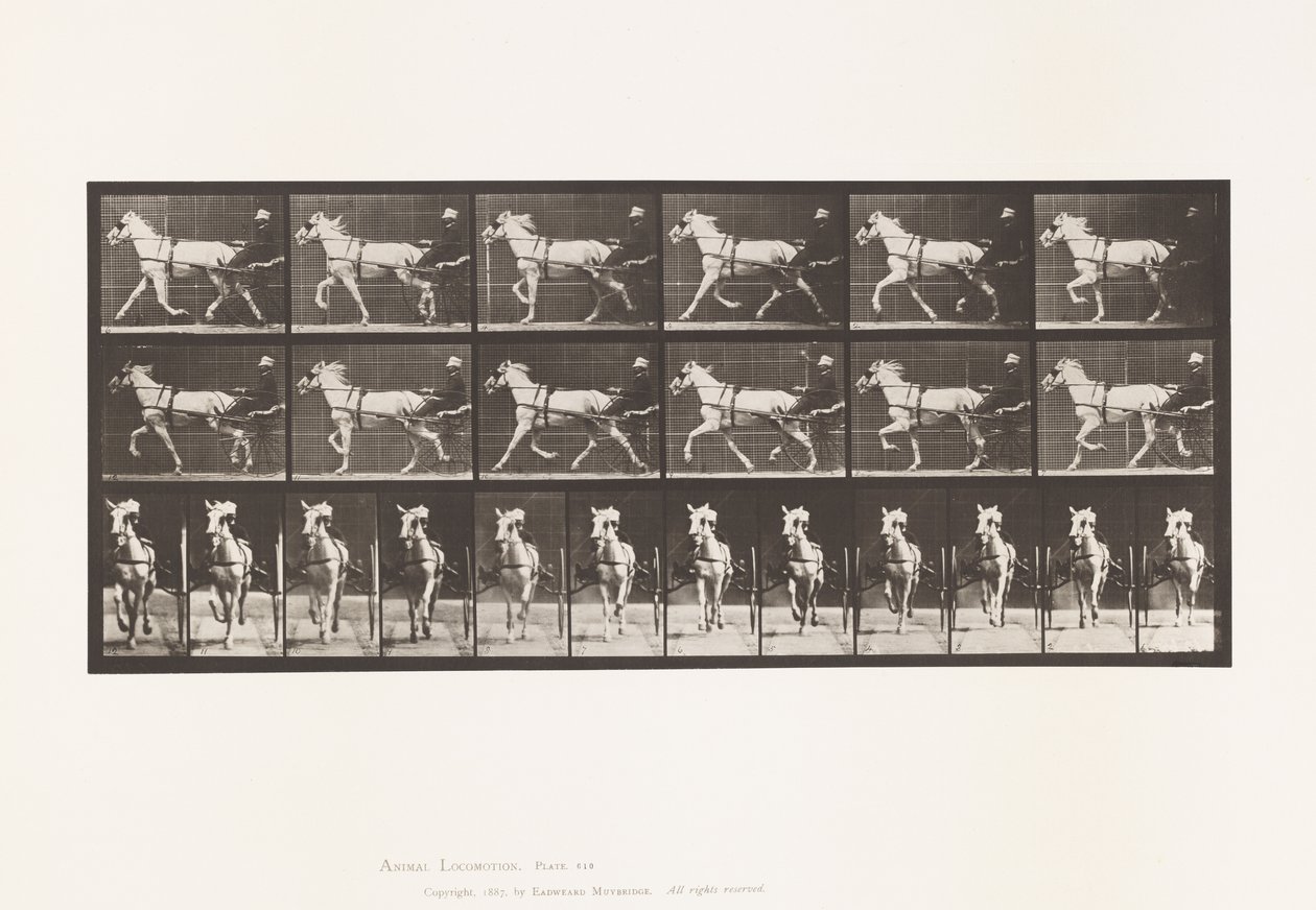 Talíř 610. Klusání; Sulky; Grey Mare, Katydid od Eadweard Muybridge