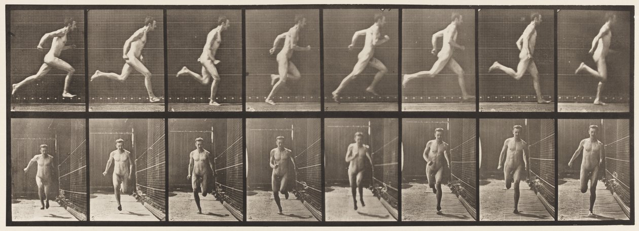 Deska 67. Běh, 1872-1885 od Eadweard Muybridge