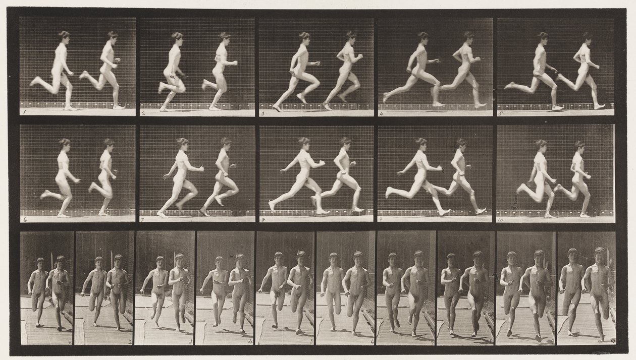 Deska 69. Běžící dva modely, 1872-1885 od Eadweard Muybridge
