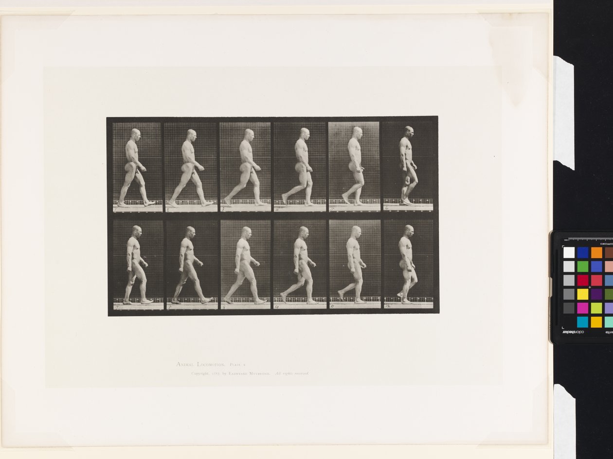 Talíř 6.Chůze od Eadweard Muybridge