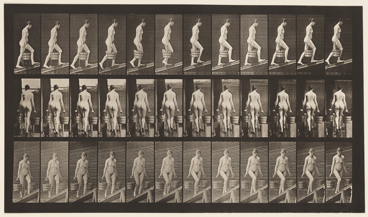 Deska 81. Vzestupný sklon. od Eadweard Muybridge