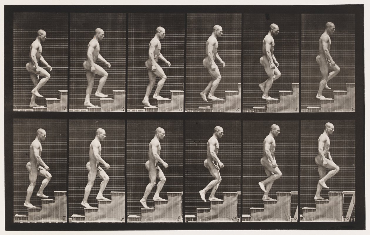 Talíř 91. Vzestupné schody od Eadweard Muybridge