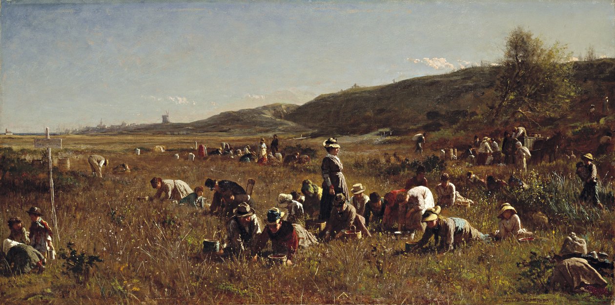 Sklizeň brusinek. Ostrov Nantucket, 1880 od Eastman Johnson