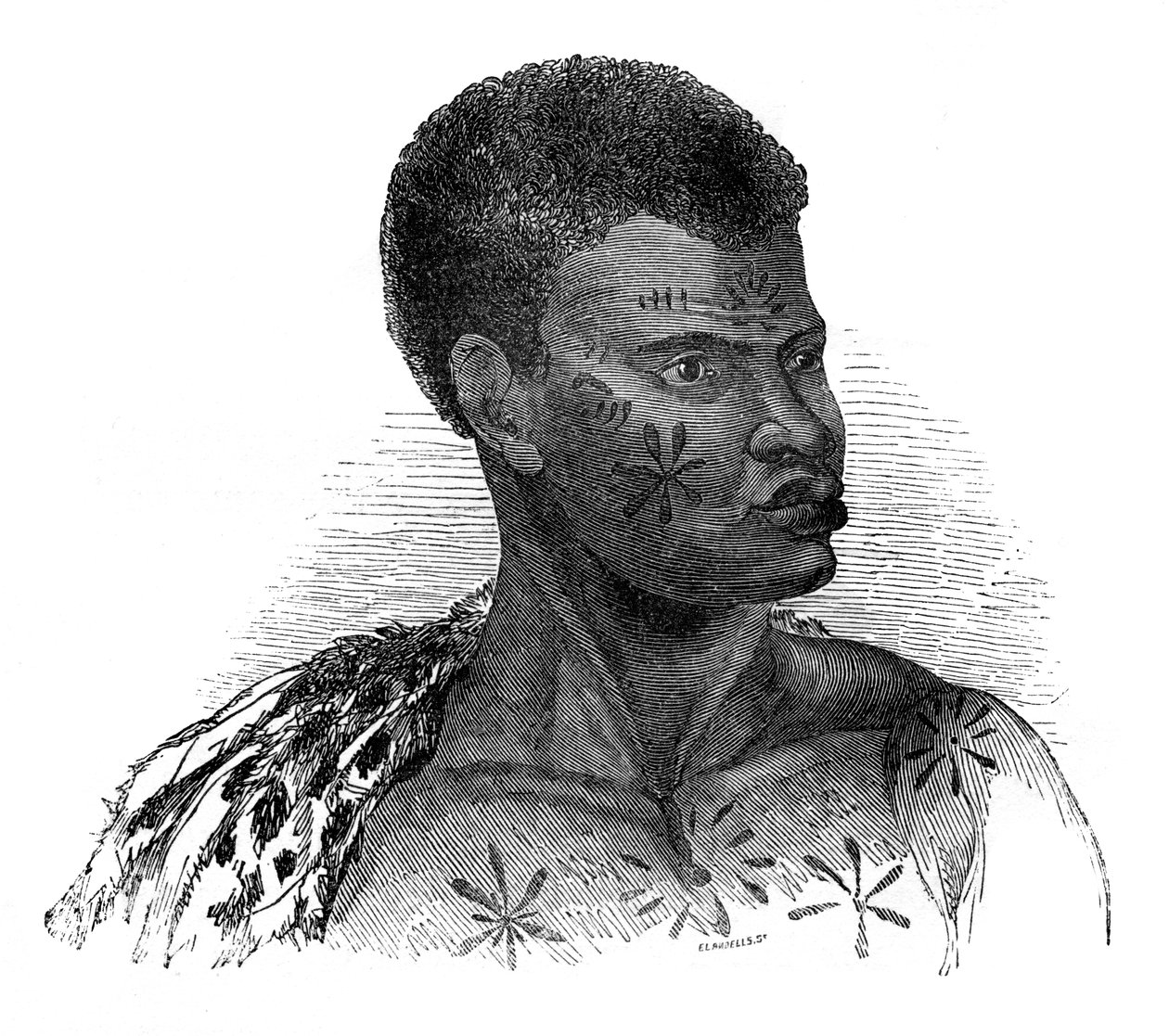 Rodák z Mosambiku, 1848. od Ebenezer Landells