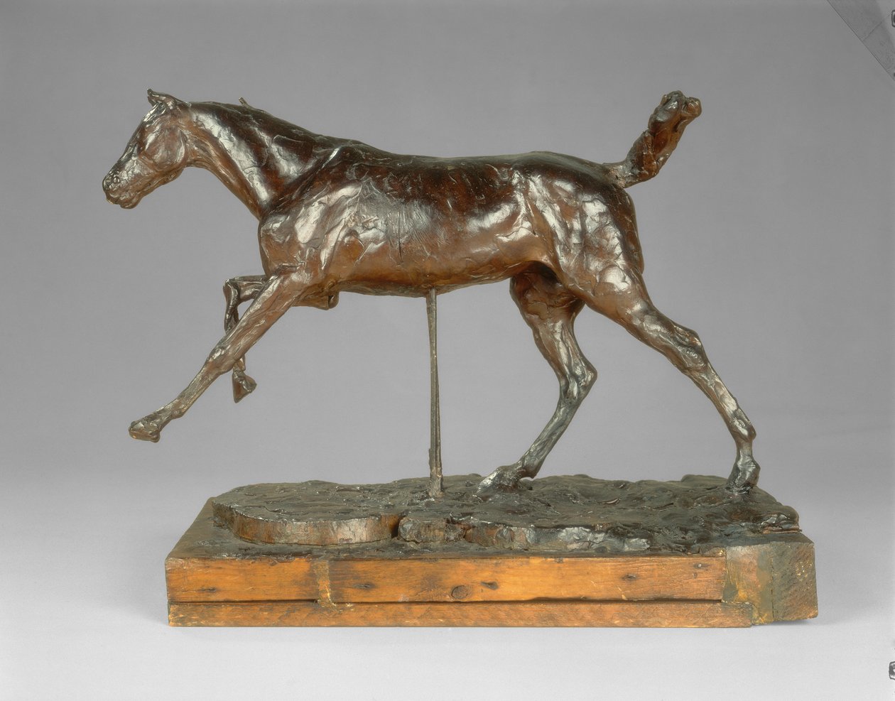 Kůň cválající pravou nohou od Edgar Degas