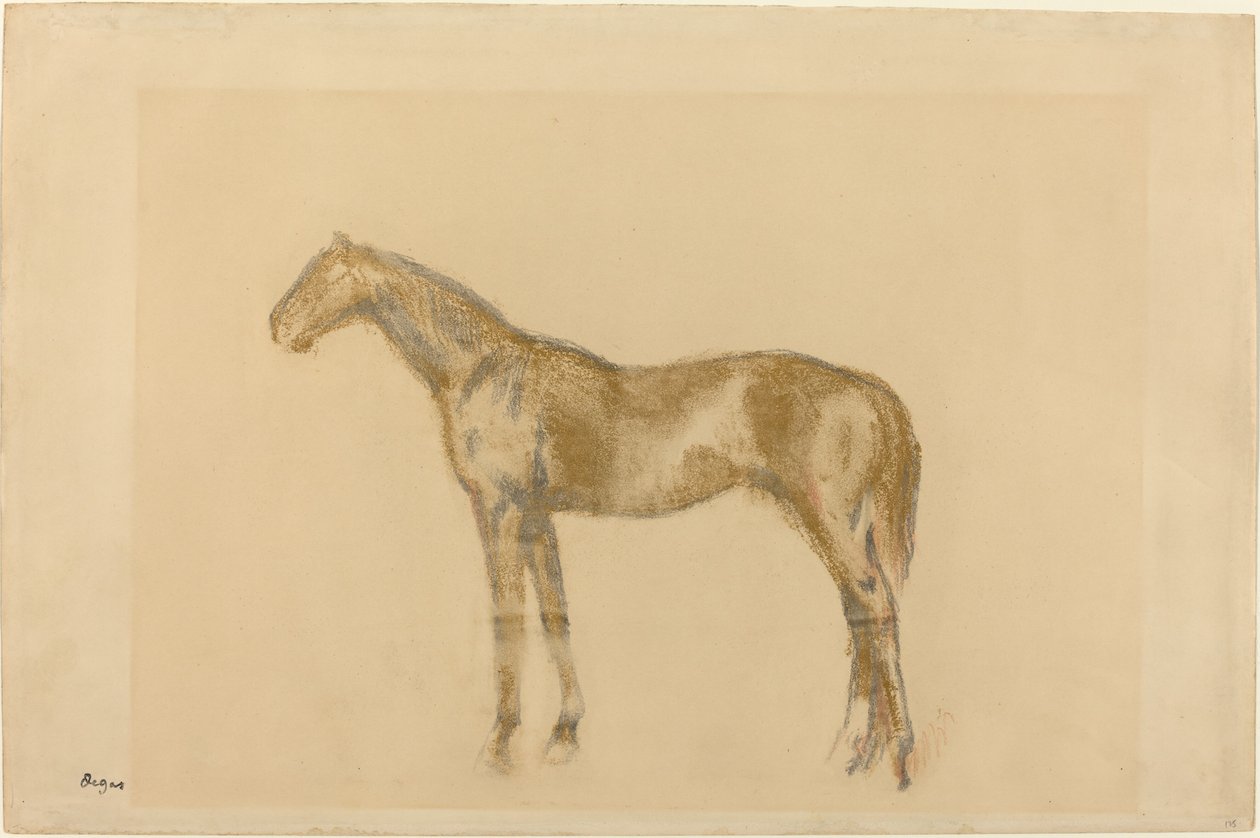 Kůň, c. 1890. od Edgar Degas