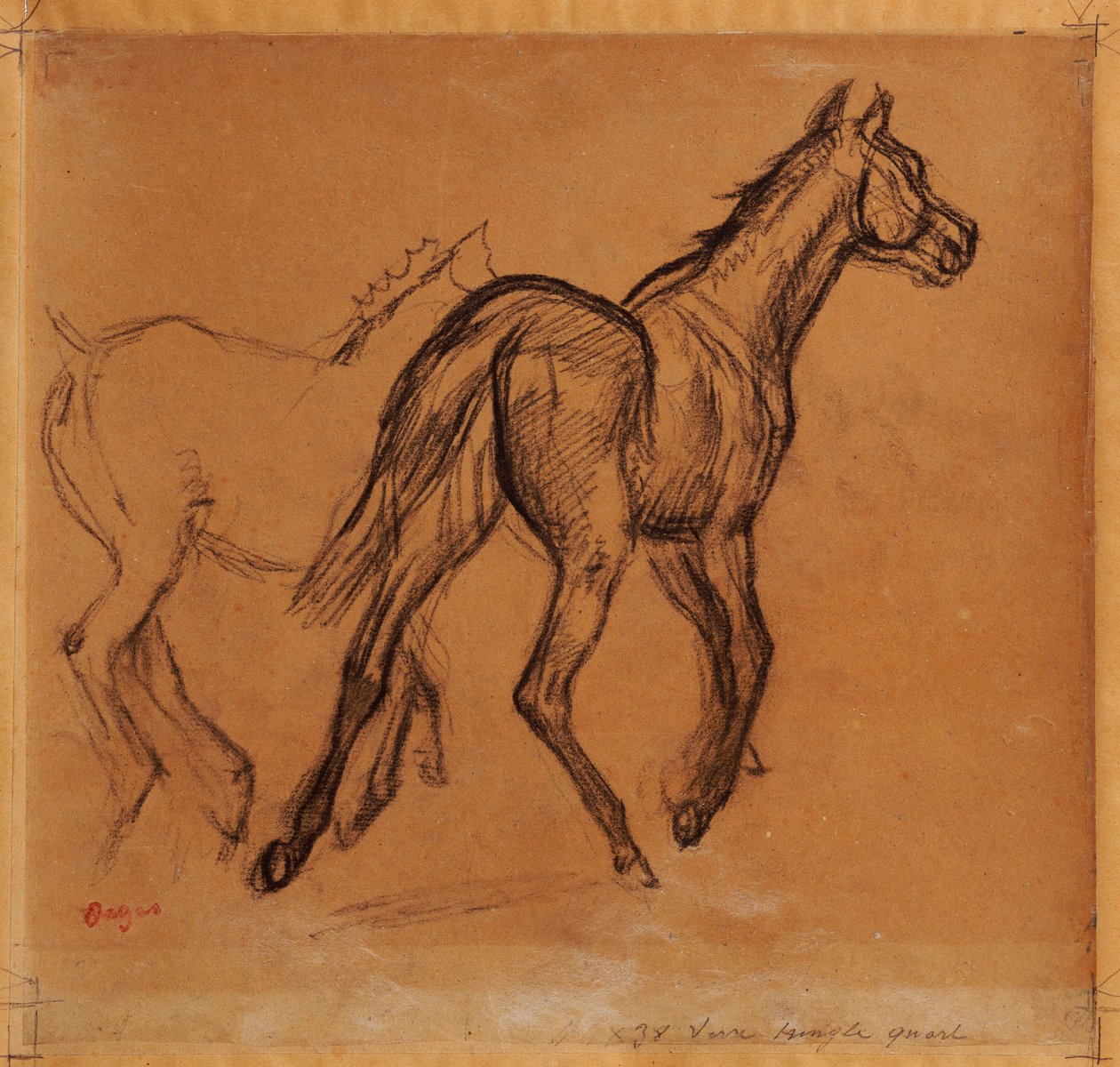 Koně, kolem roku 1882 od Edgar Degas