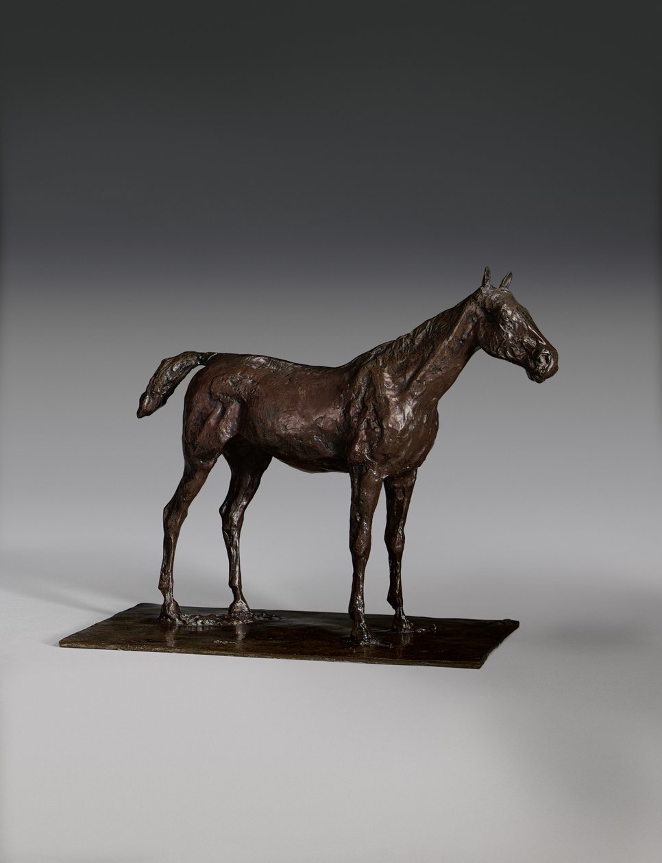 Stojící kůň od Edgar Degas
