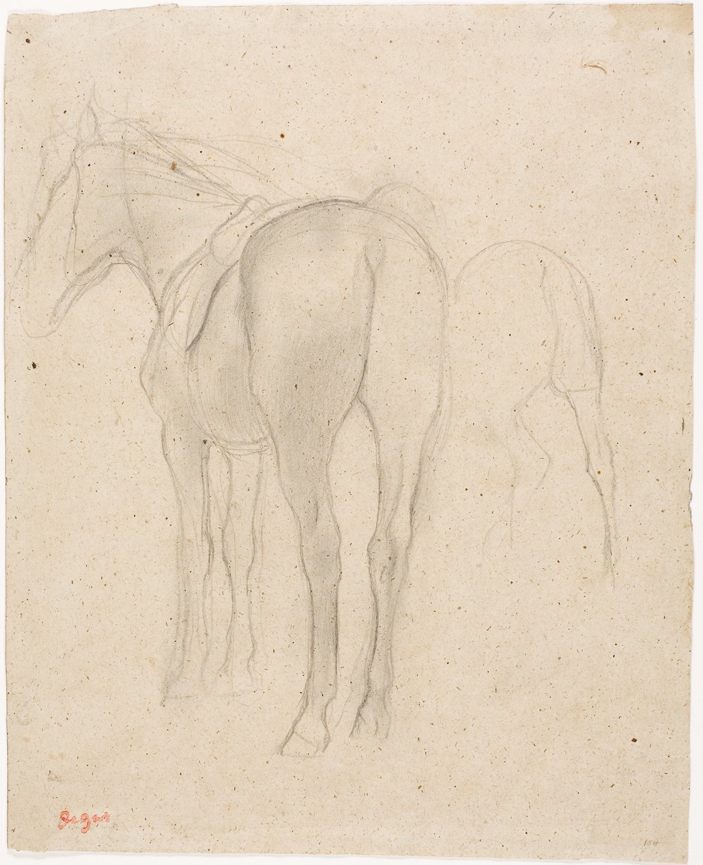 Studie koně od Edgar Degas