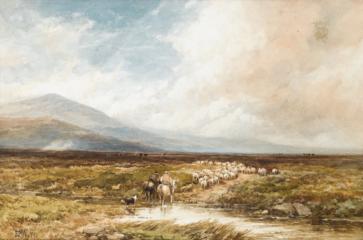 Tavy Cleave, Dartmoor, 1899 (wc na papíře) od Edmund Morison Wimperis