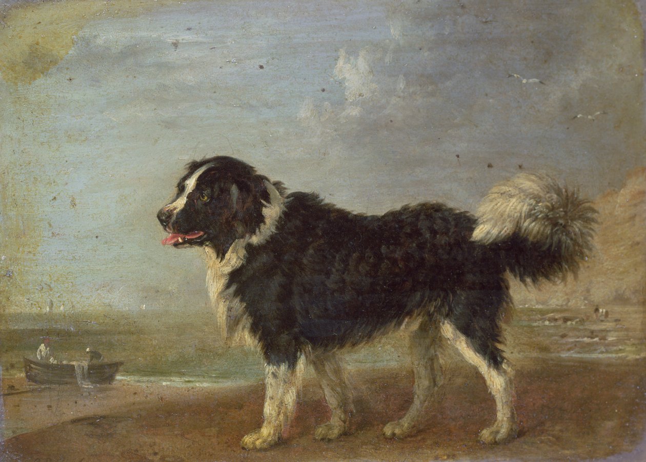 Neznámý obrázek od Edmund Bristow