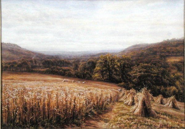 Čas sklizně poblíž Ashburtonu od Edmund George Warren
