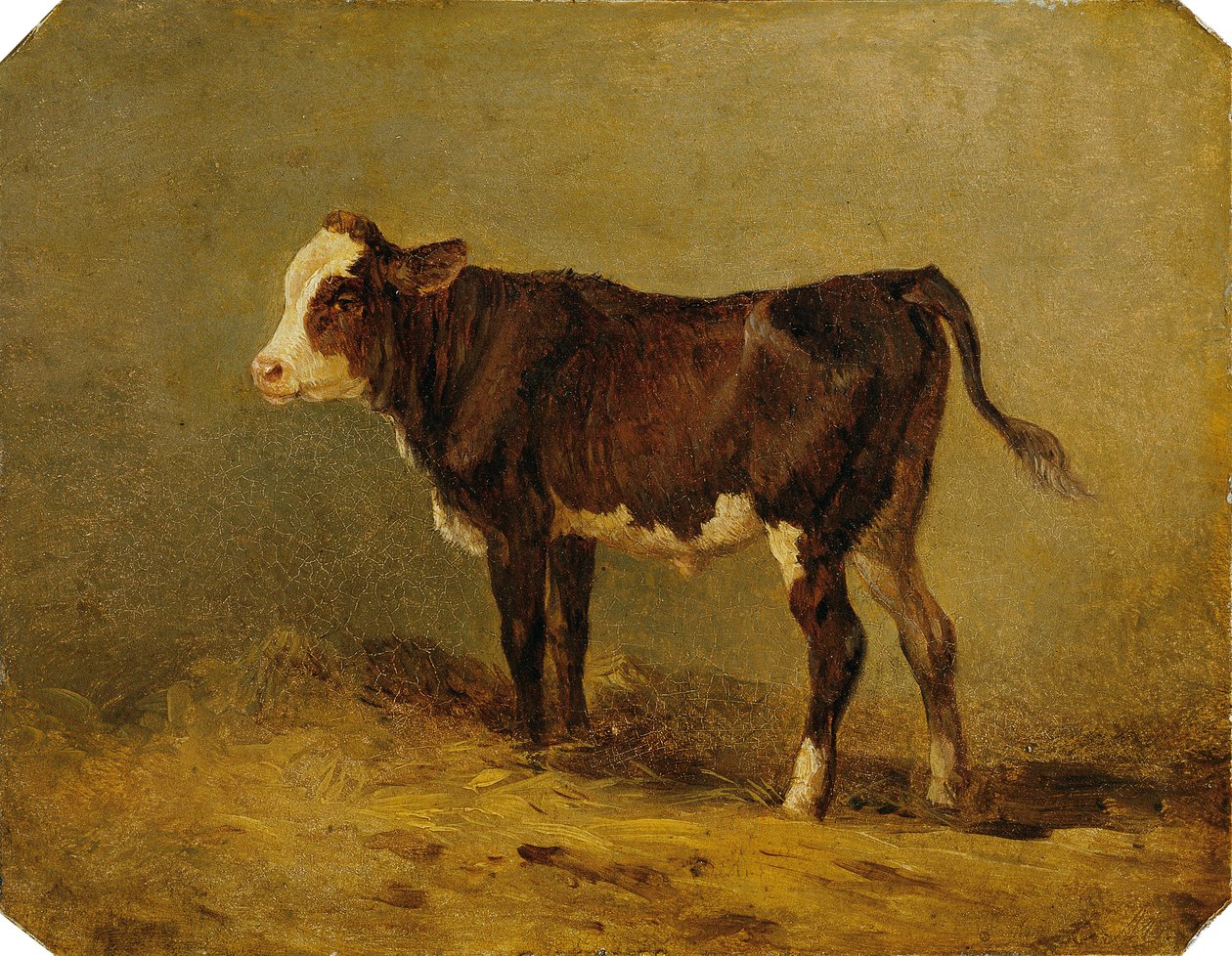 tele od Edmund Mahlknecht