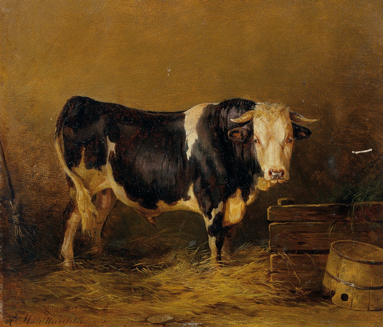 býk ve stáji od Edmund Mahlknecht