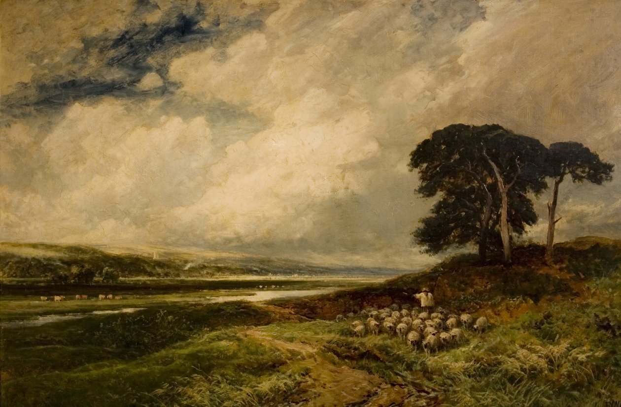 Krajina s ovcemi, 1899 od Edmund Morison Wimperis