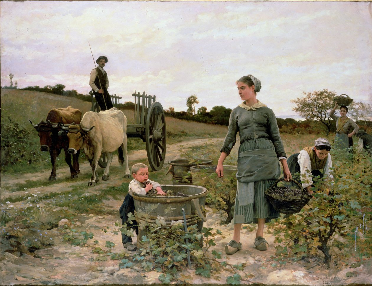 Corner of a Vineyard, Languedoc, 1886 od Edouard Debat Ponsan