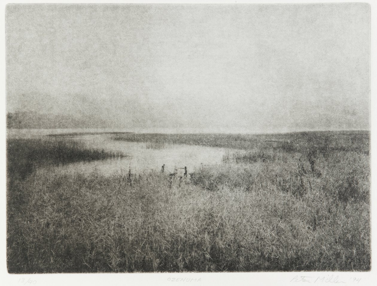 Ozenuma, 1994 od Edouard Cremieux