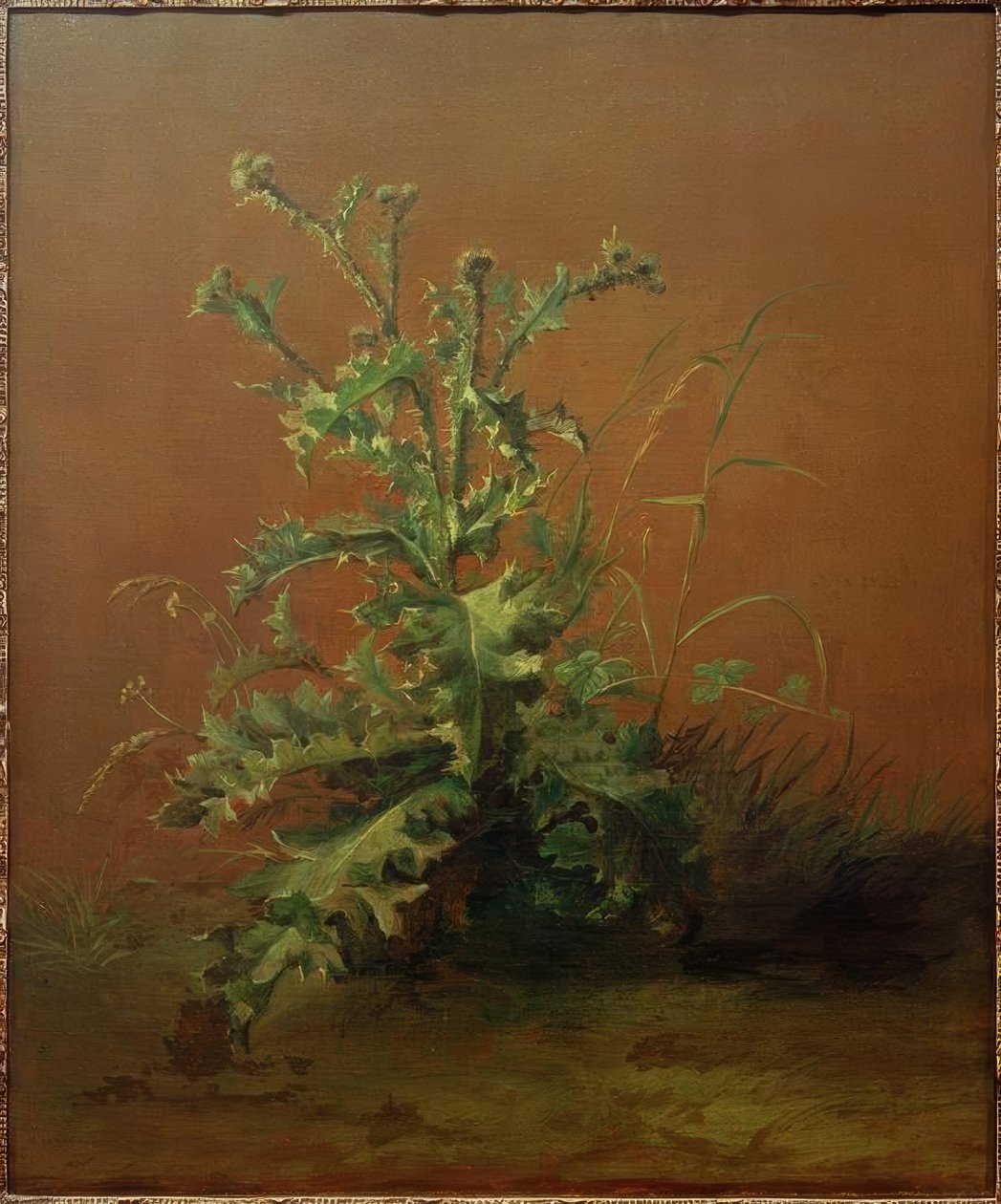 Bodlák od Édouard Manet