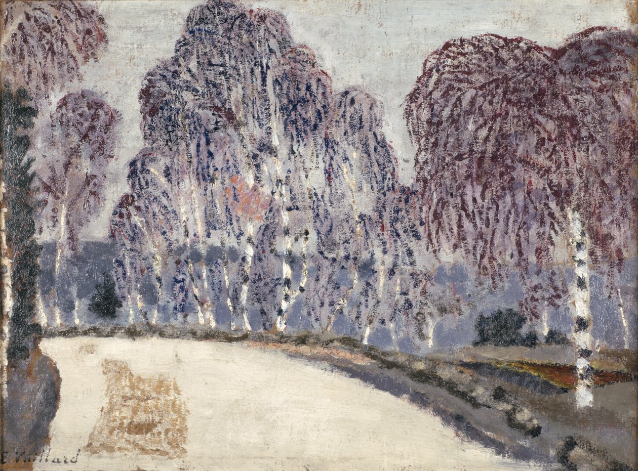 Břízy v LEtang-a-la-Ville, 1896 (olej na kartonu) od Edouard Vuillard
