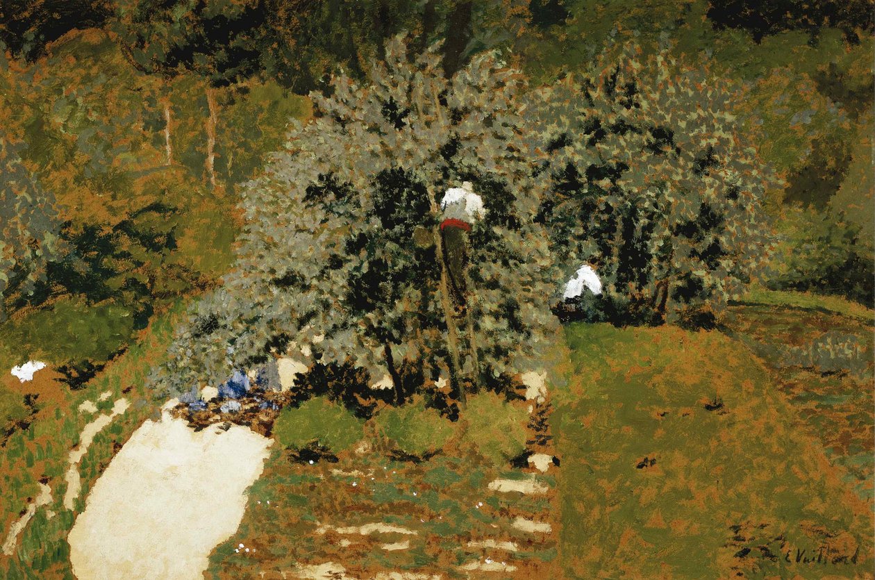 La Cueillette, 1899-1900. od Edouard Vuillard