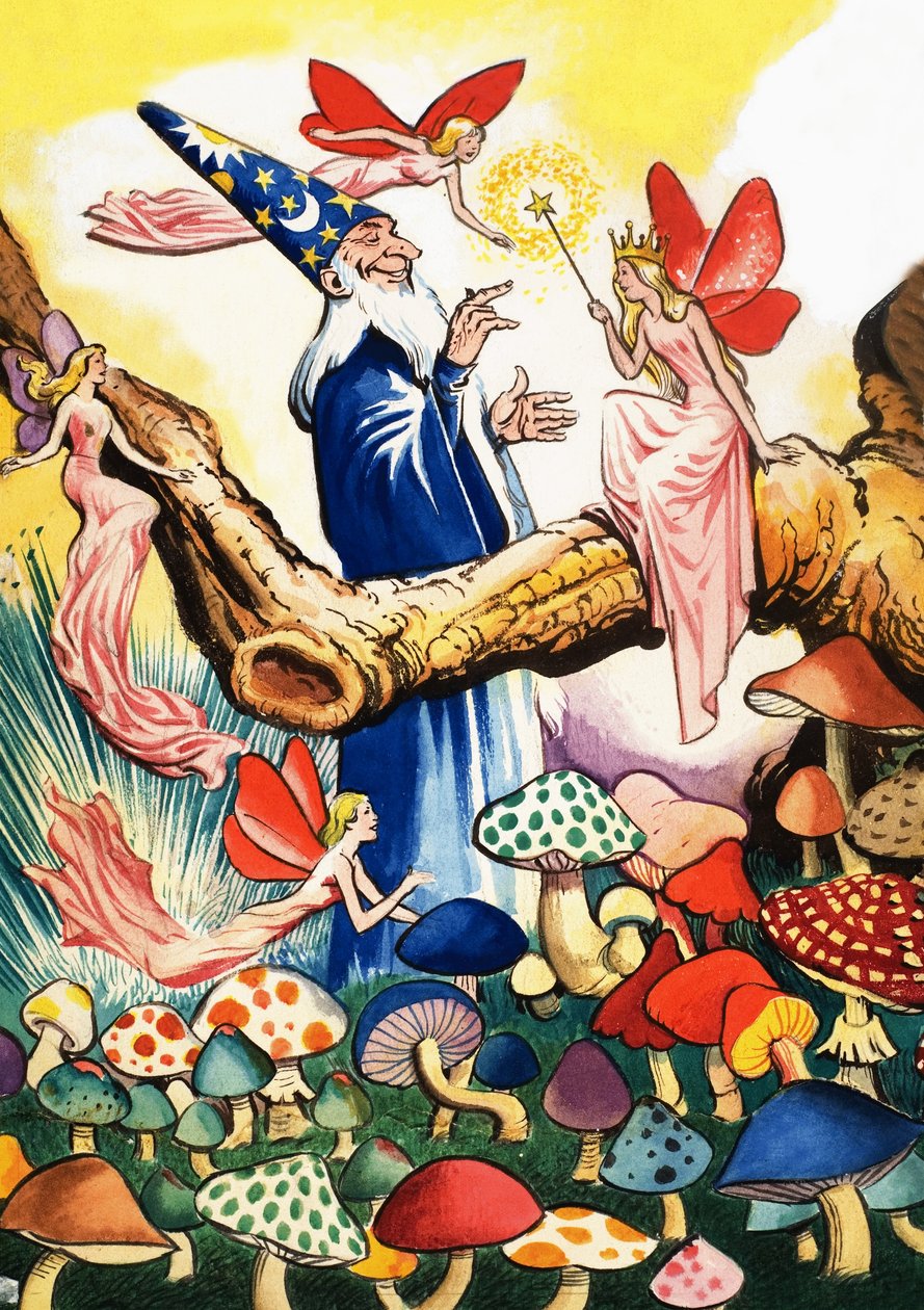 Čaroděj v houbovém lese od Eduardo Teixeira Coelho