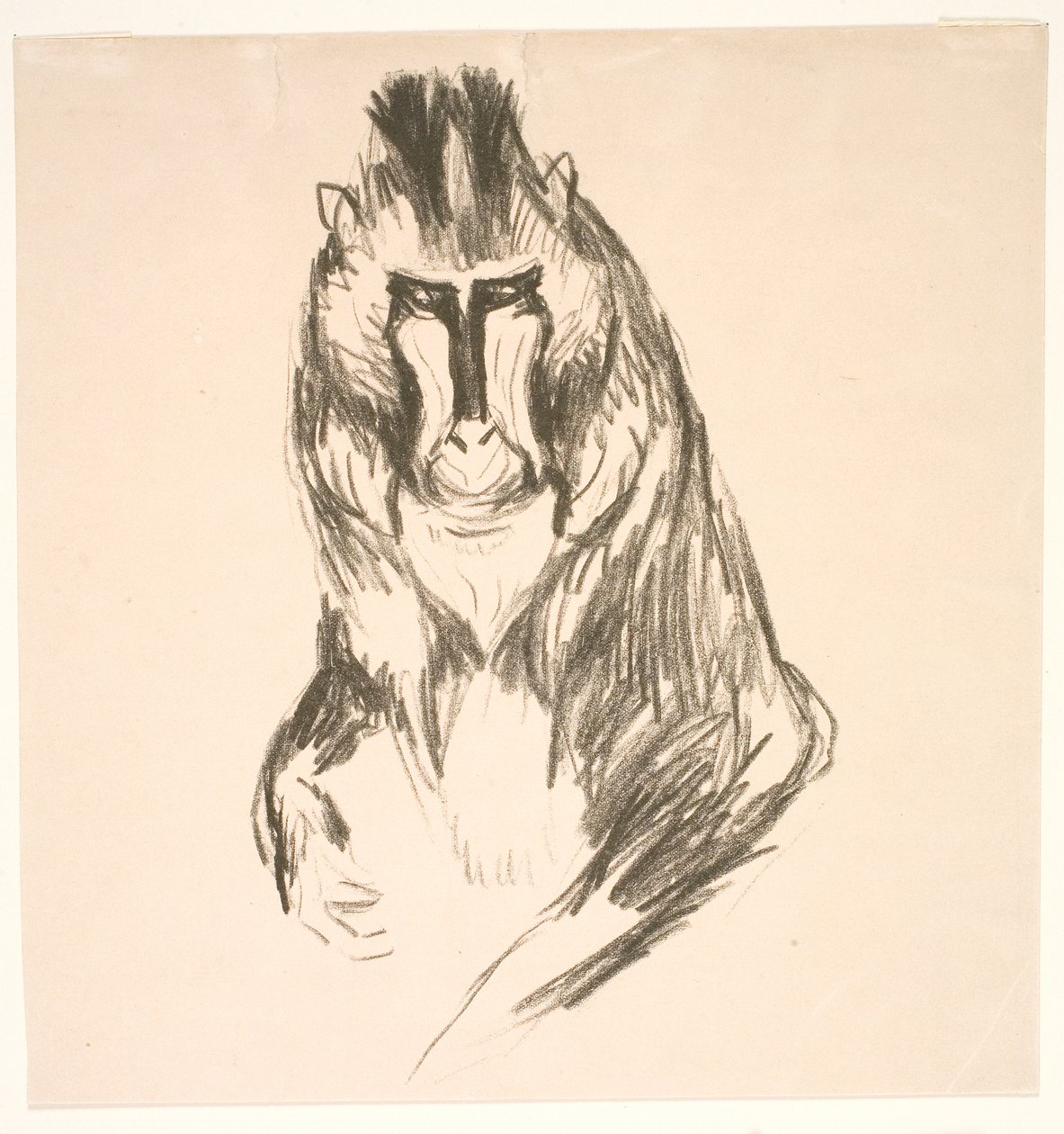 Gorila (pevnina) od Edvard Munch