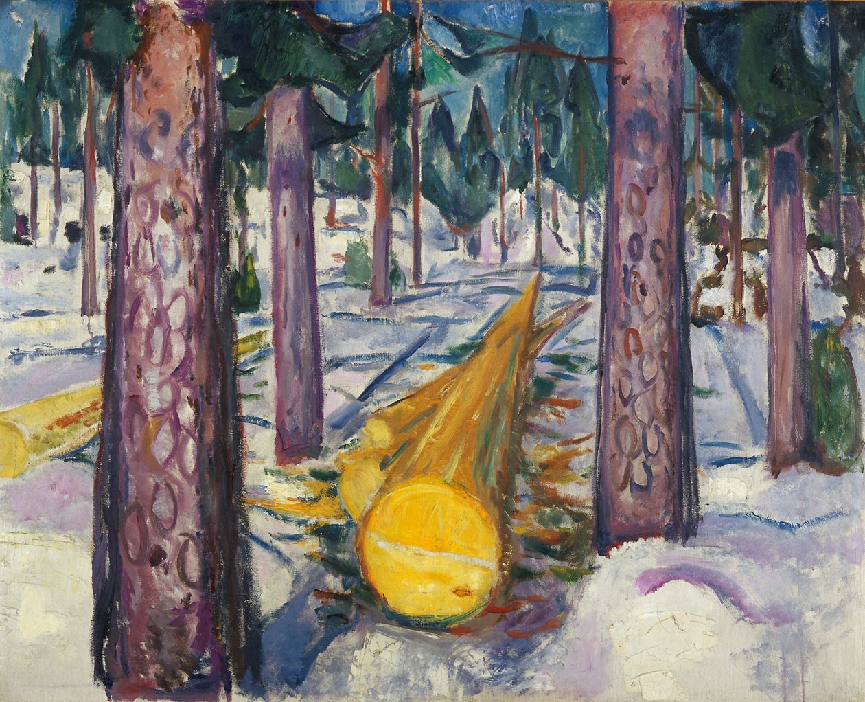 Žlutý protokol od Edvard Munch