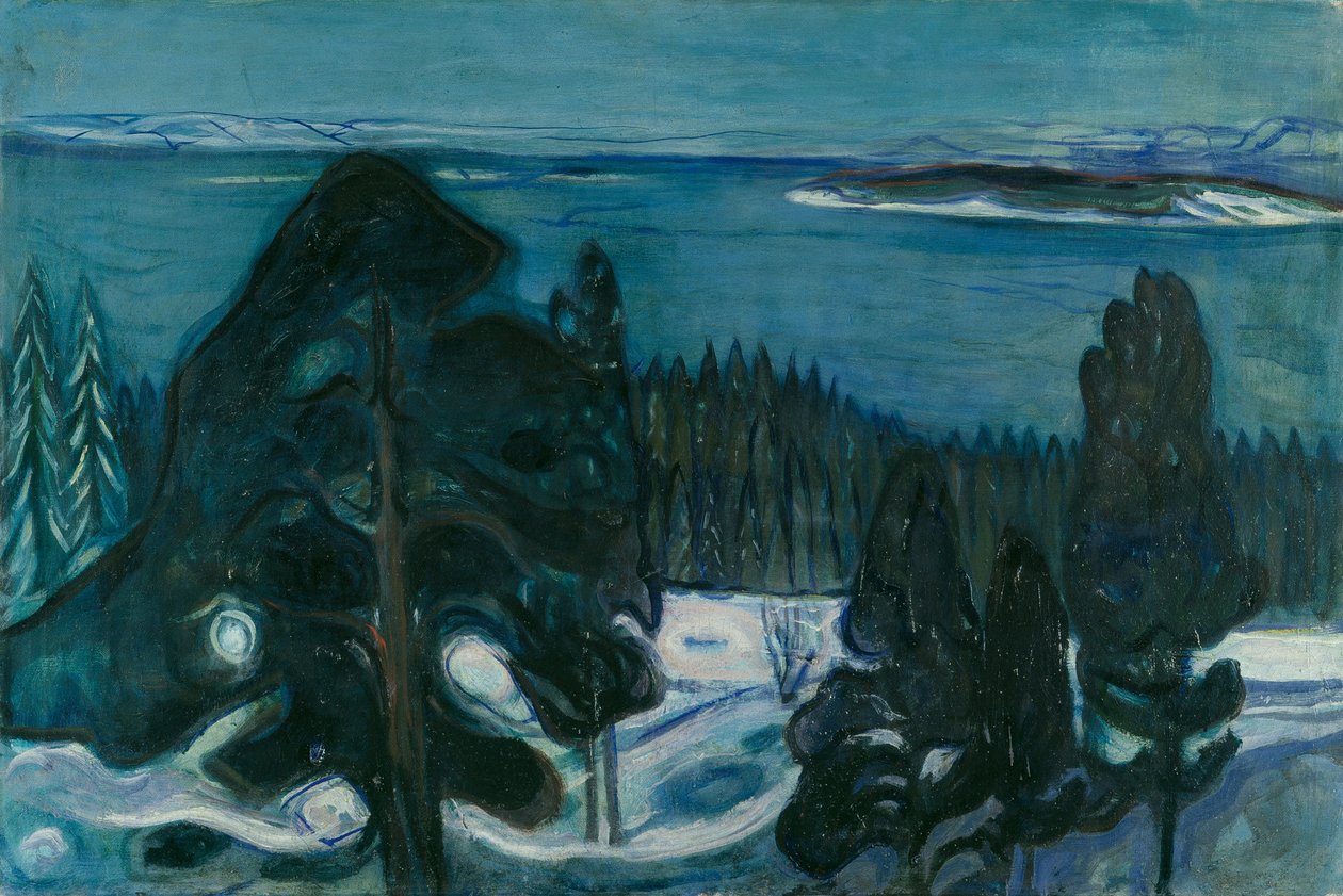 zimní noc od Edvard Munch