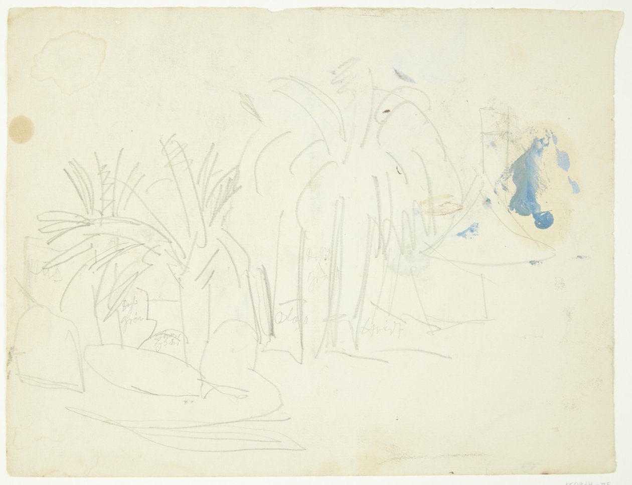 Krajina s palmami, Cannes od Edvard Weie