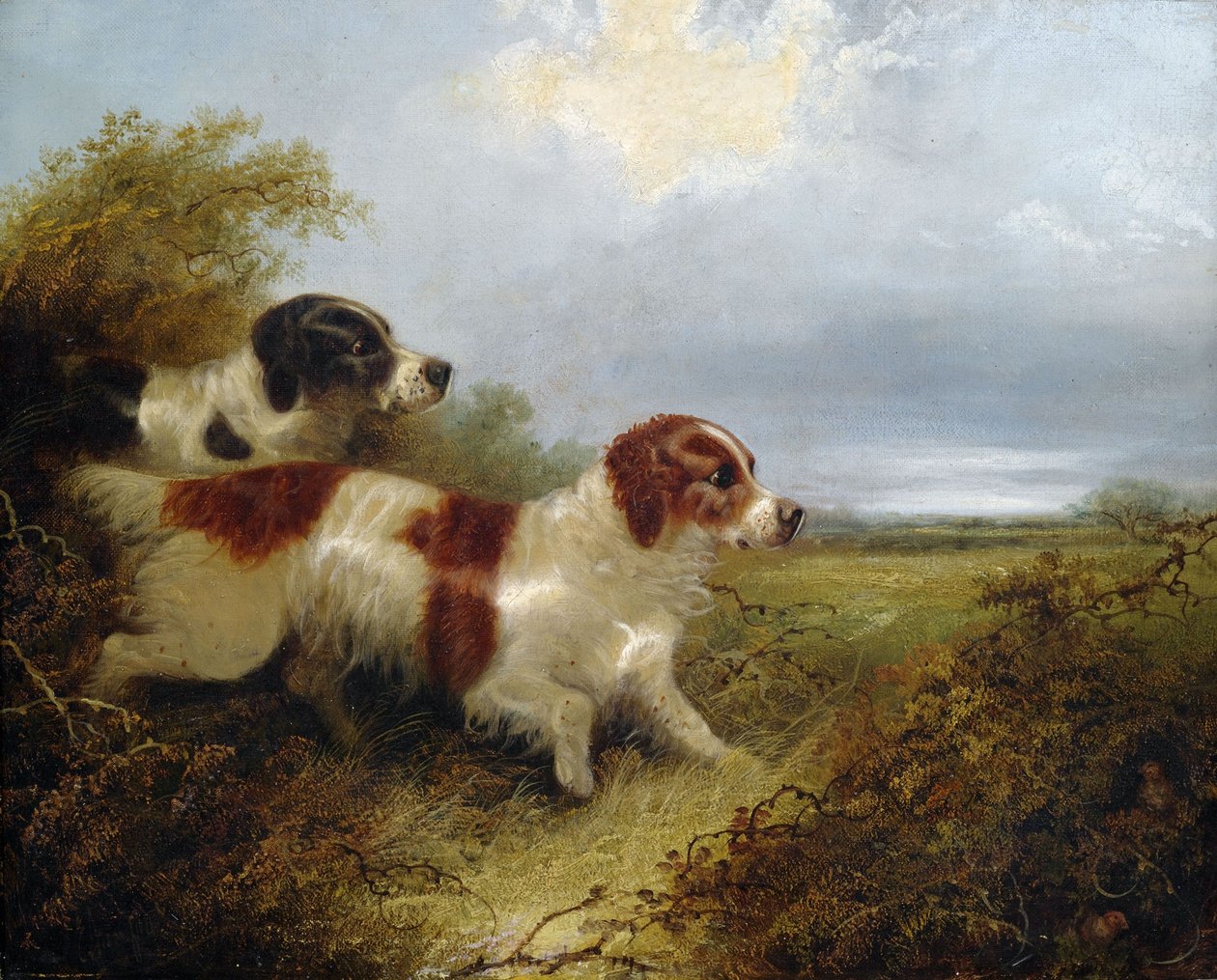 Dva teriéři od Edward Armfield