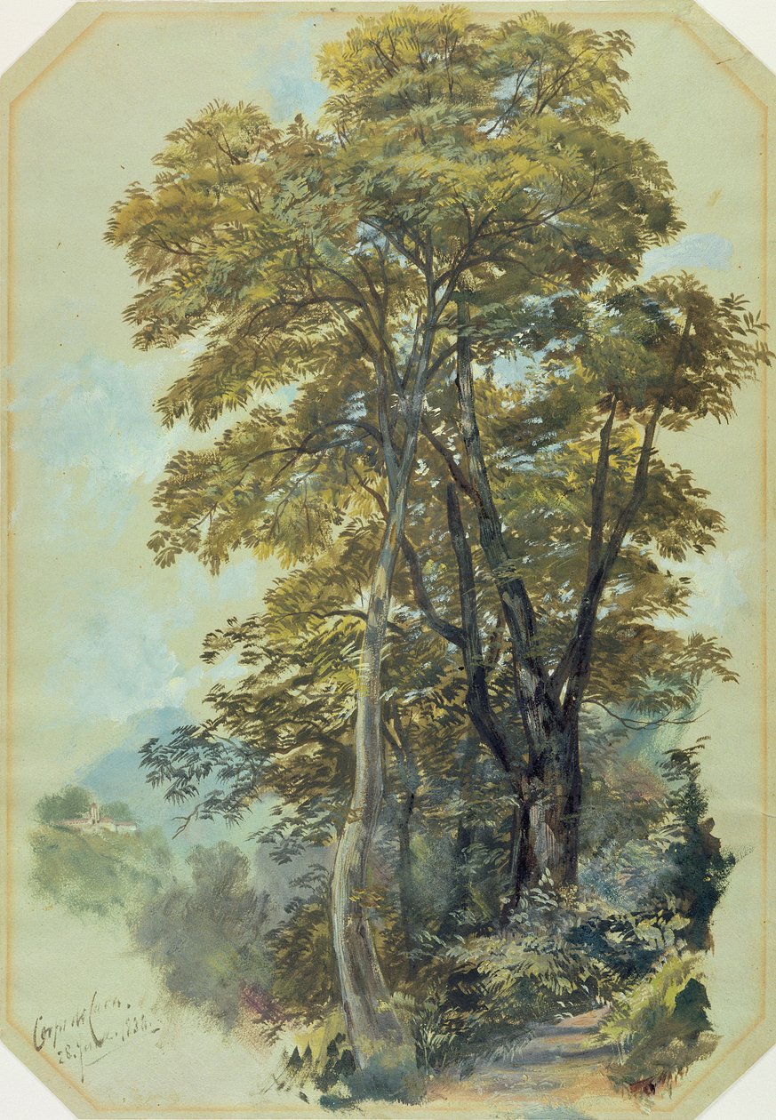 Edward Lear, Corpo di Cava, 28. června 1838 (olej na šedém tkaném papíře) od Edward Lear
